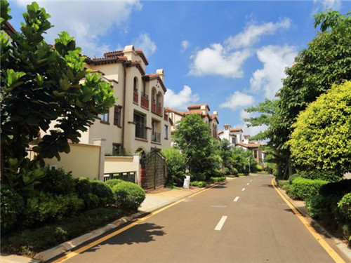 one more drinks饮品