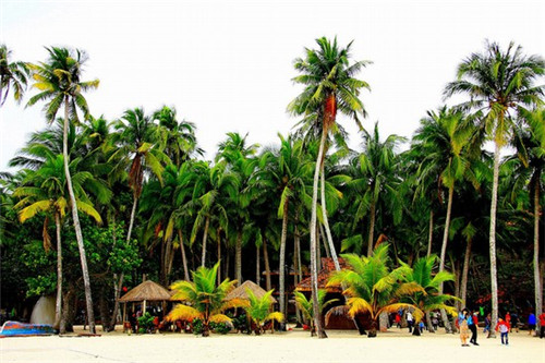 御皇叔宫廷糕点