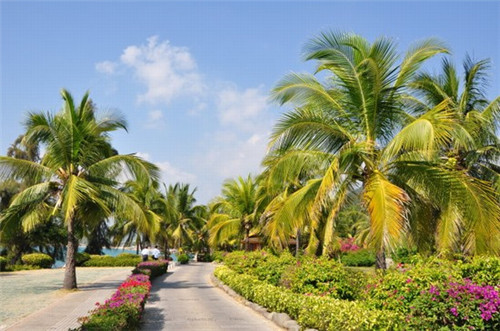 洗车匠共享自助洗车