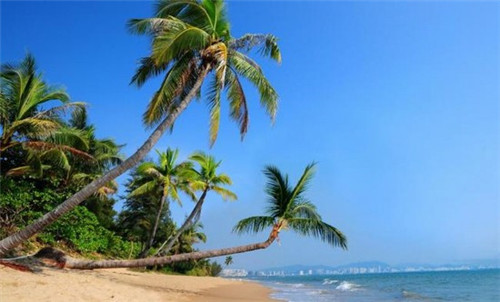 粉面江湖螺蛳粉