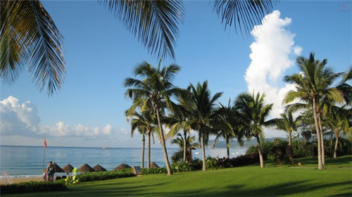 加盟椰子里饮品会亏本吗，果汁加盟哪个公司好