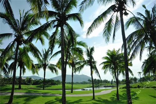 响水县开店创业投资小生意好的儿童短裤加盟店有哪些，响水母婴店有哪些