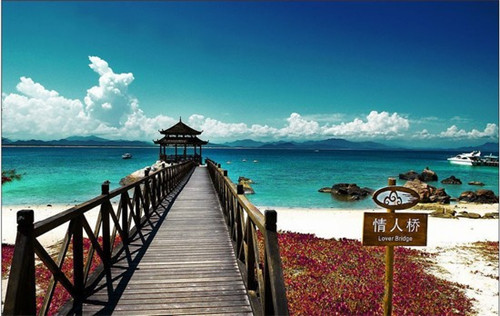 奶茶加盟店排名哪家强，阿乐制茶一年能赚多少钱