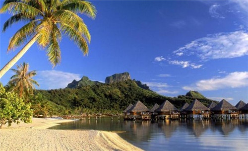 饮得爽加盟需要具备什么条件，加盟饮得爽利润是怎么算的