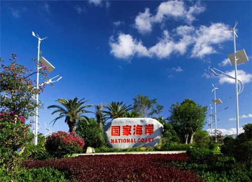 家庭装修种什么植物（家庭装修放什么绿植）