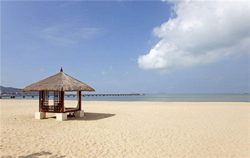 信号结局是什么意思啊（信号结局啥意思）