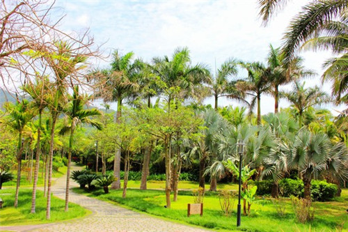 封丘县开店创业压力表加盟店最火爆的项目排行榜