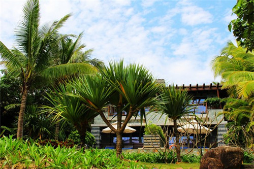 五一有什么景点不堵车的（五一去哪不拥堵）